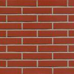 ���������� � ������ ������