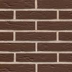 ���������� � ������ ������