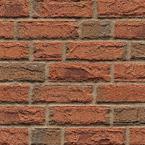 grandis terreno viva